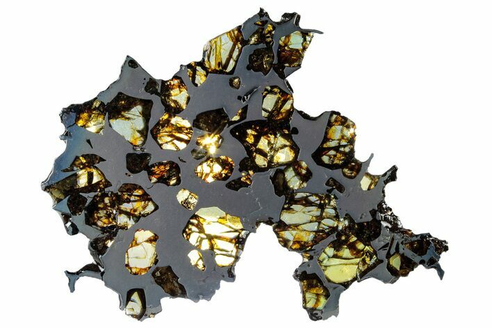 Polished Pallasite Meteorite ( g) Slice - NWA #303832